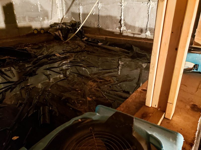 Basement Water Extraction in Chandler, AZ