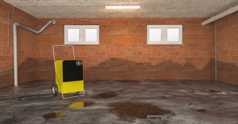 Crawl Space Water Remediation in Mesa, AZ