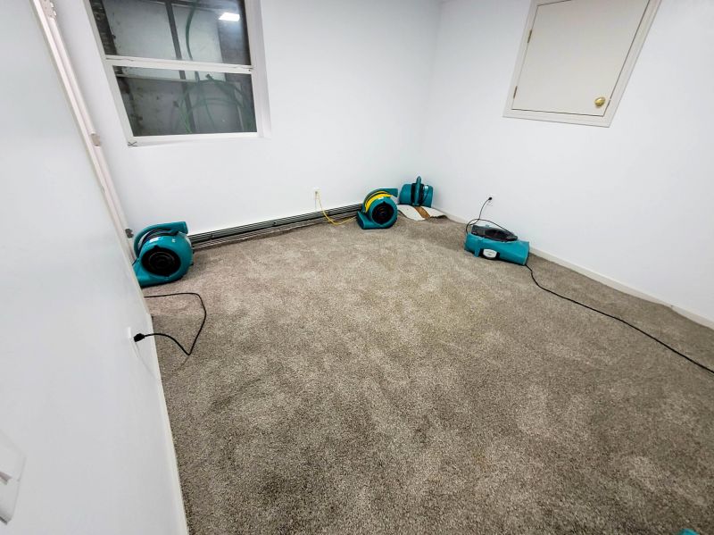 Flood Cleanup Service in Mesa, AZ