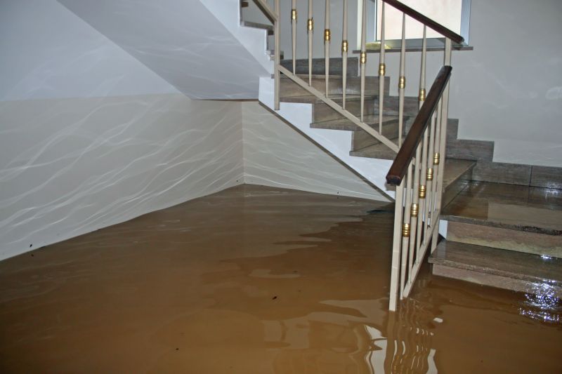 Flooded Basement Cleanup in Mesa, AZ