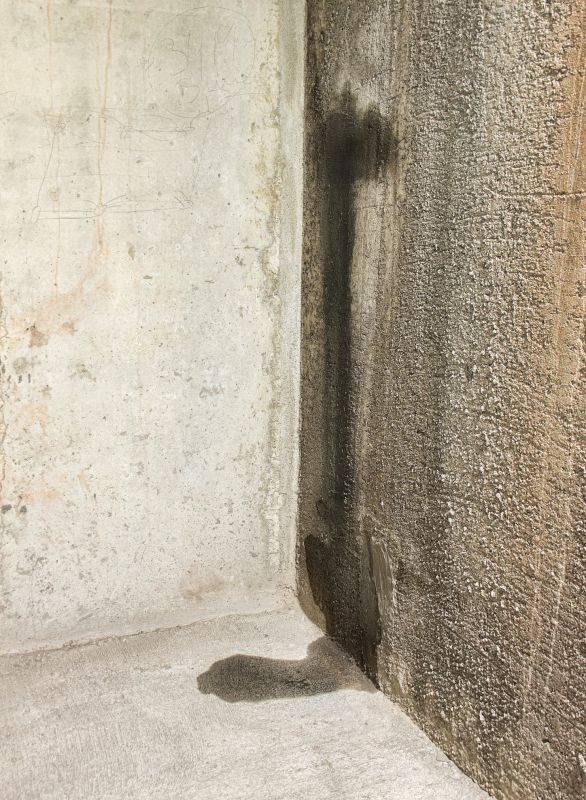 Wet Basement Repair in Fort Collins, CO