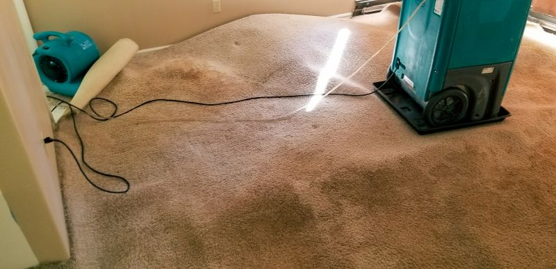 Wet Carpet Restoration in Scottsdale, AZ